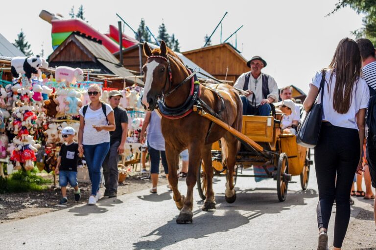 Wycieczka Szkolna Tatry, Wycieczka szkolna Podhale, Wycieczka Szkolna Zakopane z Łodzi, Zielona Szkoła w Tatrach 3 dni, Zielona Szkoła Podhale