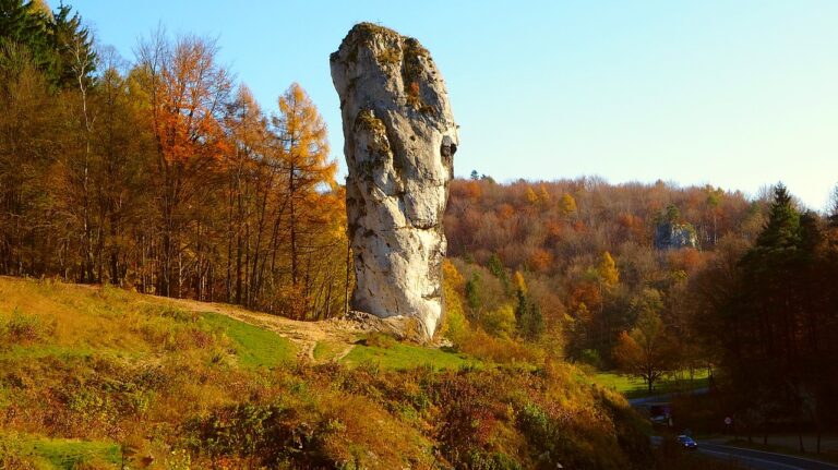 Wycieczka Szkolna na Jurę, Zielona Szkoła Jura, Jura Krakowska z Łodzi wyjazd dla szkół 2 dni
