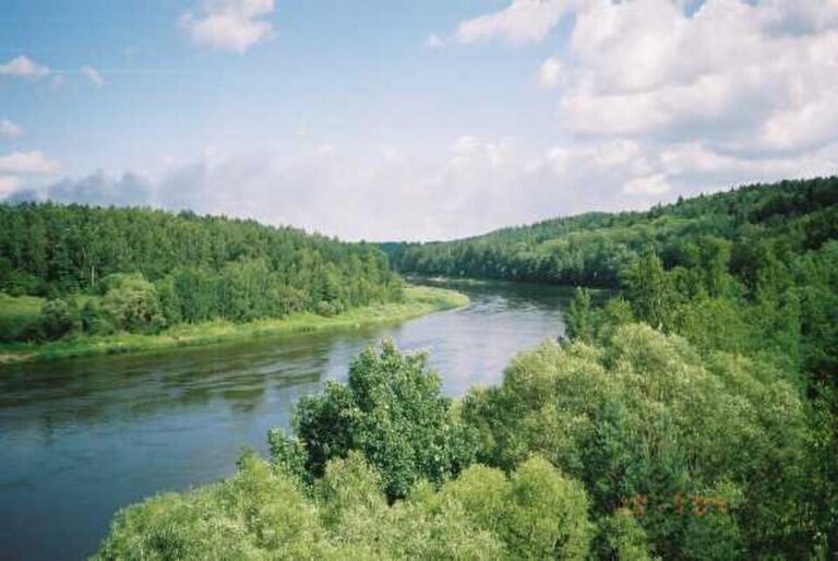 Pielgrzymka na Litwę, Pielgrzymka Wilno, Niemen