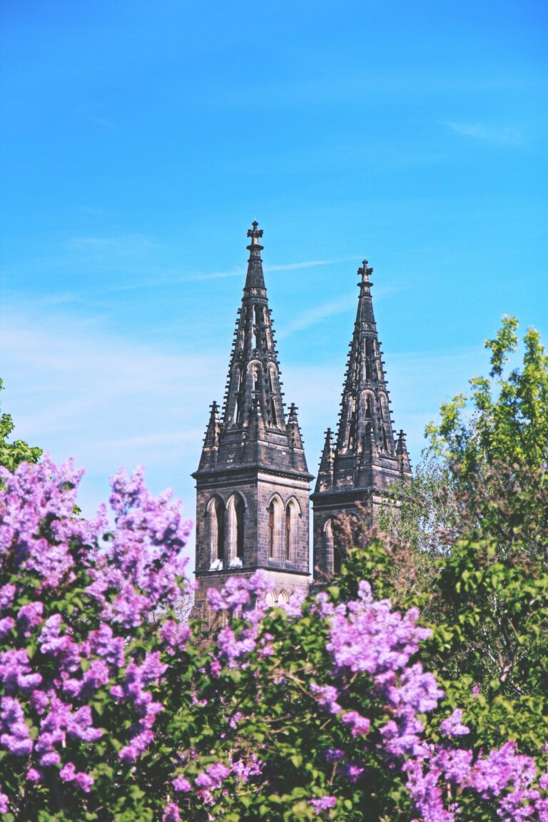 Wycieczka Szkolna Praga, Zielona Szkoła Czechy 3 dni, Wycieczka do Pragi dla szkół, Zielona Szkoła Praga 3 dni z Łodzi