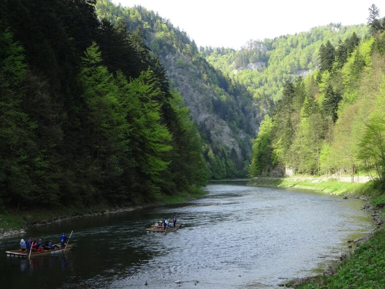 Zielona szkoła Pieniny 4 dni, wycieczka szkolna w Pieniny z Łodzi